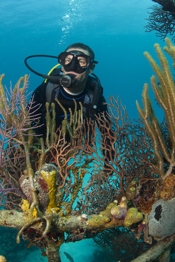 Pacific Ocean Scuba Diving Tour photo 3